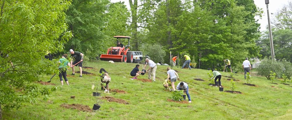 People planting trees on a green lawn